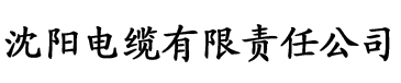 香蕉影视久久久电缆厂logo